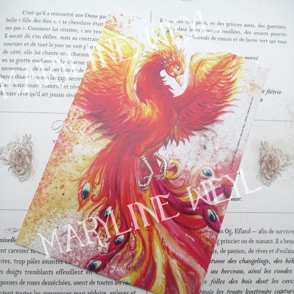 Carte Postale phénix oiseau de feu pheonix*