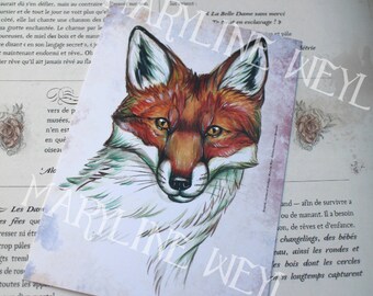 Map postcard Red Fox