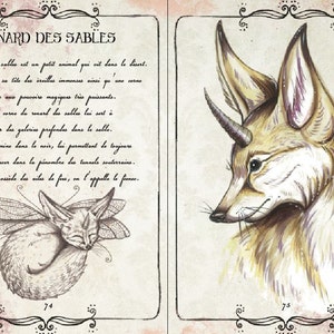 Foxes Charms and Spells Illustrated Book - Etsy