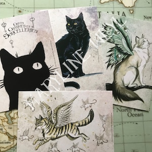 Lot de 4 cartes postales "chats"