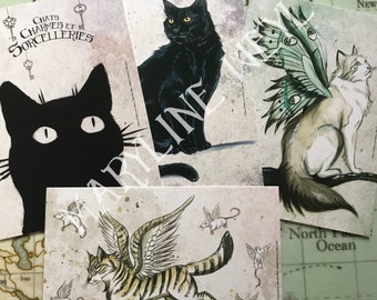 Lot de 4 cartes postales "chats"