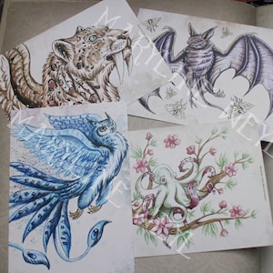 carte postale "le grimoire des étranges créatures" lot de 4