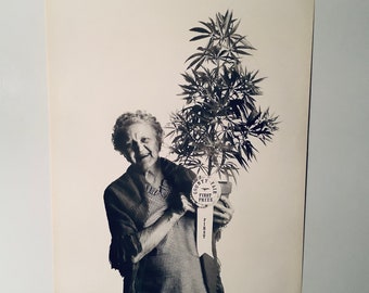 Fun Original Vintage 1973 poster of Granny Winning 1rst Prize Marijuana Plant