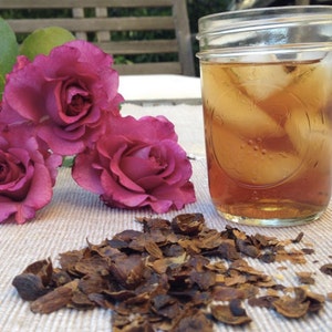 Cascara Tea Coffee Fruit Coffee Cherry Naturally Sweet Hot or Cold image 3