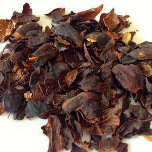 Cascara Tea Coffee Fruit Coffee Cherry Naturally Sweet Hot or Cold image 4