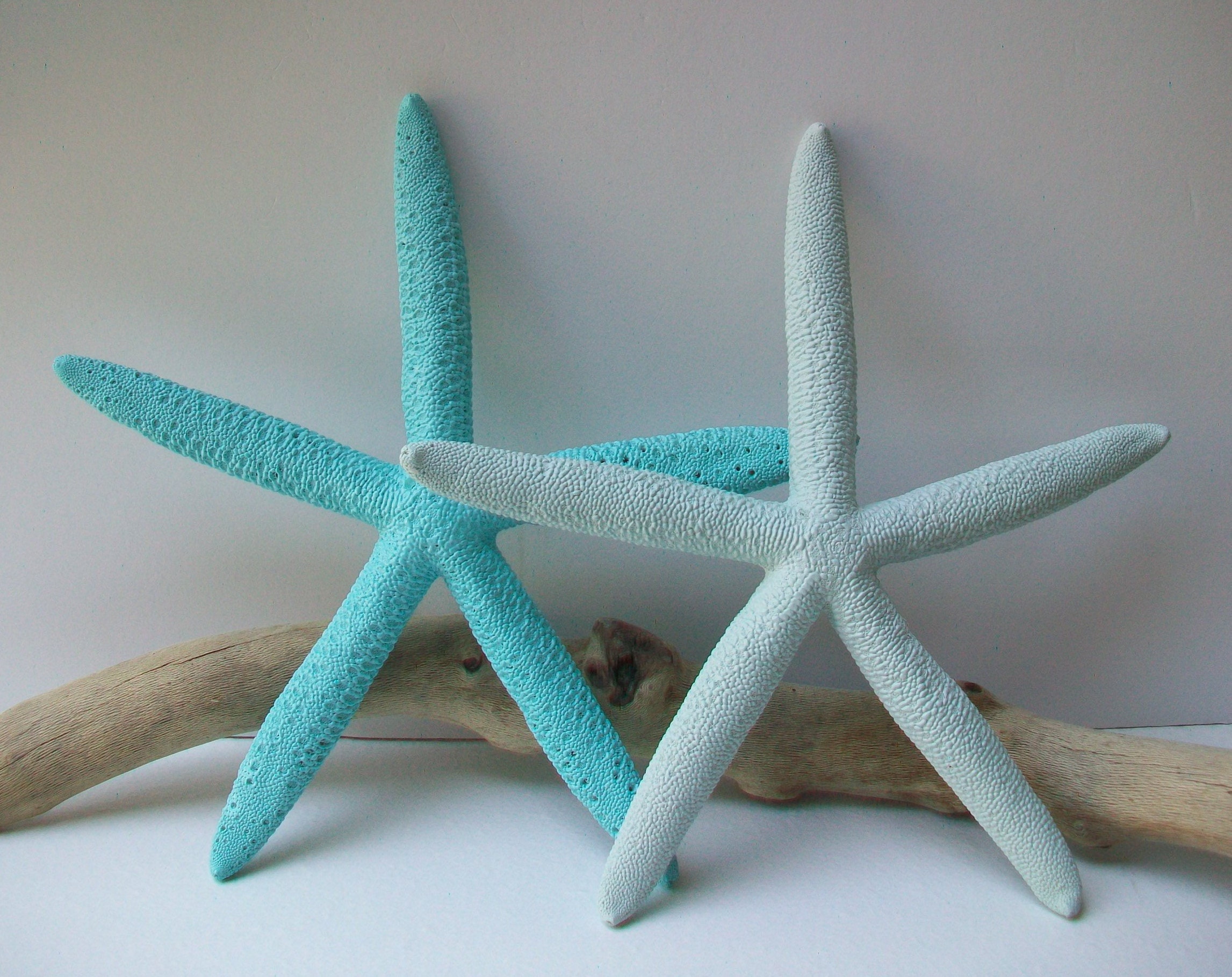 Painted Starfish Large 59 Table Decor Tablescape Etsy