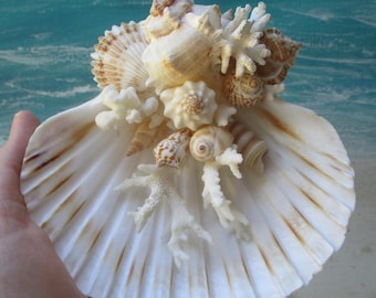 Beach Ring Bearer - Coral & Shells - White Beige Brown, Wedding Ring Display Decor Keepsake