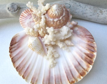 Beach Ring Bearer - Coral & Shells - White, Pink, Lavender, Orange, Brown, Wedding Ring Display Keepsake
