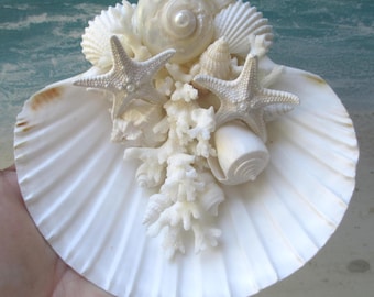 Beach Wedding Ring Bearer Display - Scallop Shell Coral, Coastal Bridal Decor