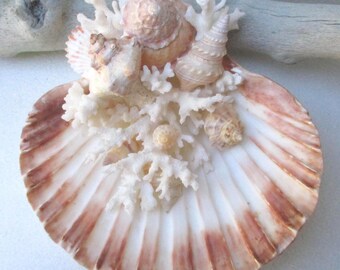 Beach Ring Bearer - Coral & Shells - Rose Gold, Burgundy, Orange, Brown, Wedding Ring Display Keepsake