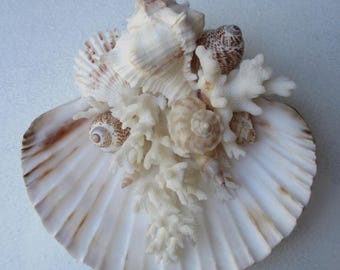 Beach Ring Bearer - Coral & Shells - White Beige Brown, Wedding Ring Display Decor Keepsake