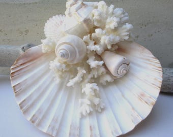 Coastal Ring Bearer - Coral & Shells - White Beige, Wedding Ring Display Decor Keepsake