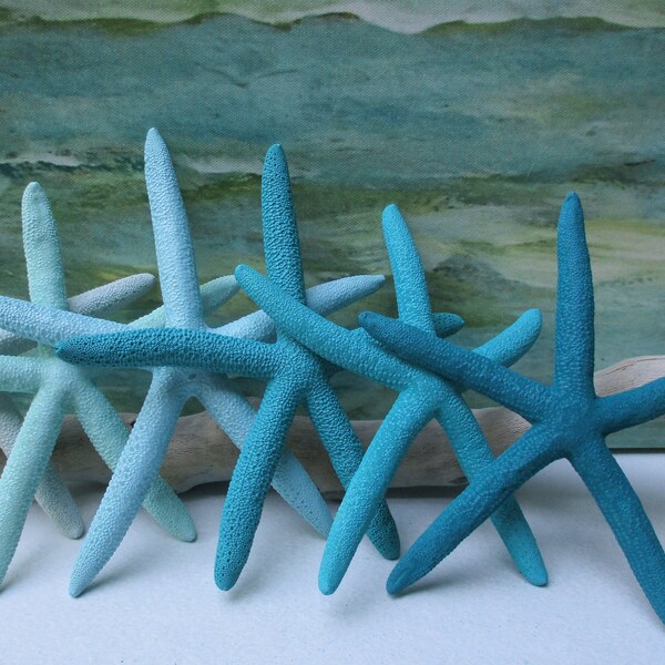 Starfish Table Decor Etsy