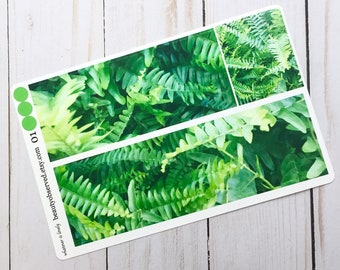 Fern planner stickers | fern photo stickers | full box planner stickers |  | vinyl matte stickers | green plant stickers