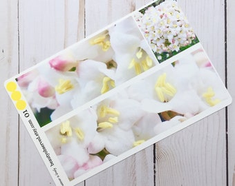 Vibernum blossom planner stickers | white blossom photo stickers | full box planner stickers |  | vinyl matte stickers | spring flowers