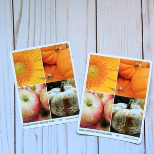 sunflower apples pumpkins gourd full box fall photo stickers for autumn planner matte vinyl paper