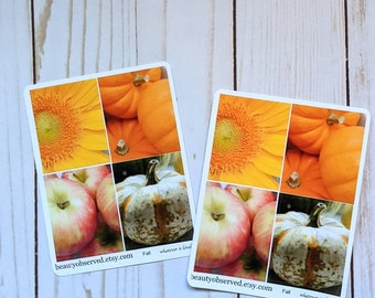 sunflower apples pumpkins gourd full box fall photo stickers for autumn planner matte vinyl paper