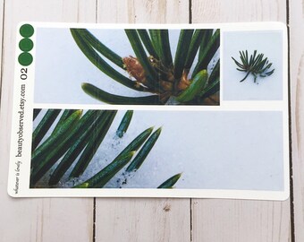 planner stickers | pine photo stickers | pine full box planner stickers | pine stickers | vinyl matte sticker | pine sprig | winter stickers