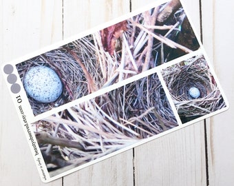 bird's nest planner stickers | bird's nest photo stickers | full box planner stickers | bird's egg stickers | vinyl matte stickers |