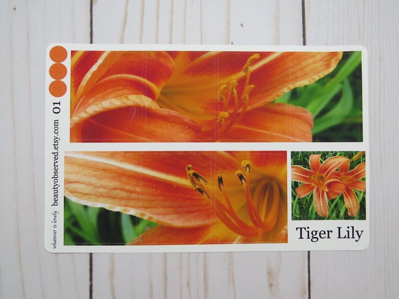 tiger lily planner stickers tiger lily photo stickers full box planner stickers orange flower stickers vinyl matte stickers image 1