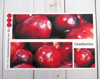 cranberry planner stickers | cranberry photo stickers | full box planner stickers | vinyl matte stickers | Christmas Stickers | cranberries
