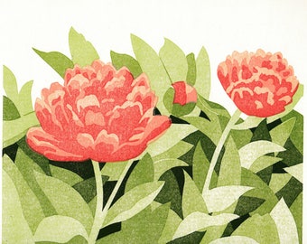 Peonies