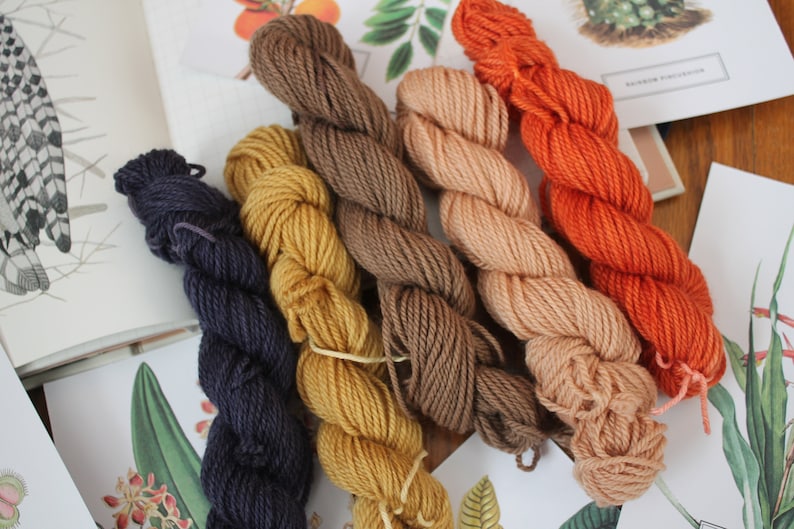 Naturally Dyed Bold Mini Skein Sample Kit