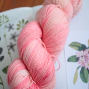 Cochineal Dyed