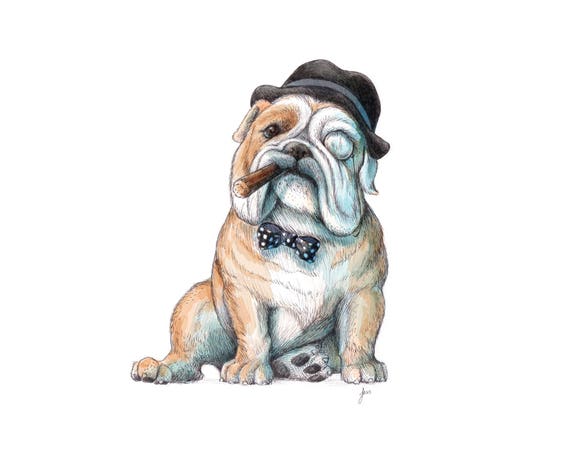 english bulldog british bulldog