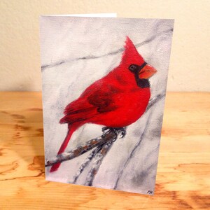 Cardinal dans la neige - Carte vierge