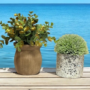 Faux Succulent Plant. Faux Boxwood Plant. Desktop Potted Plants.