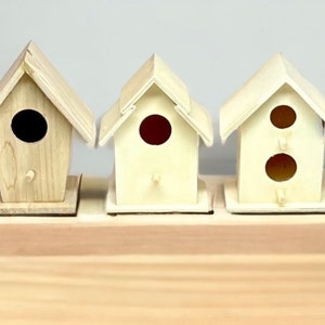 Unfinished Mini Wood Birdhouses: DIY Craft Project, Garden Decor