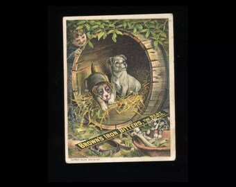 RARE Advertising Trade Card - Browns Iron Bitters 19th C. Quack Medicine / Antique Victorian Ephemera