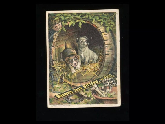 RARE Advertising Trade Card - Browns Iron Bitters 19th C. Quack Medicine /  Antique Victorian Ephemera