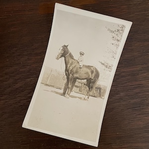 Antique Snapshot Photo Child Or Little Person Sitting On Giant Horse 1900s