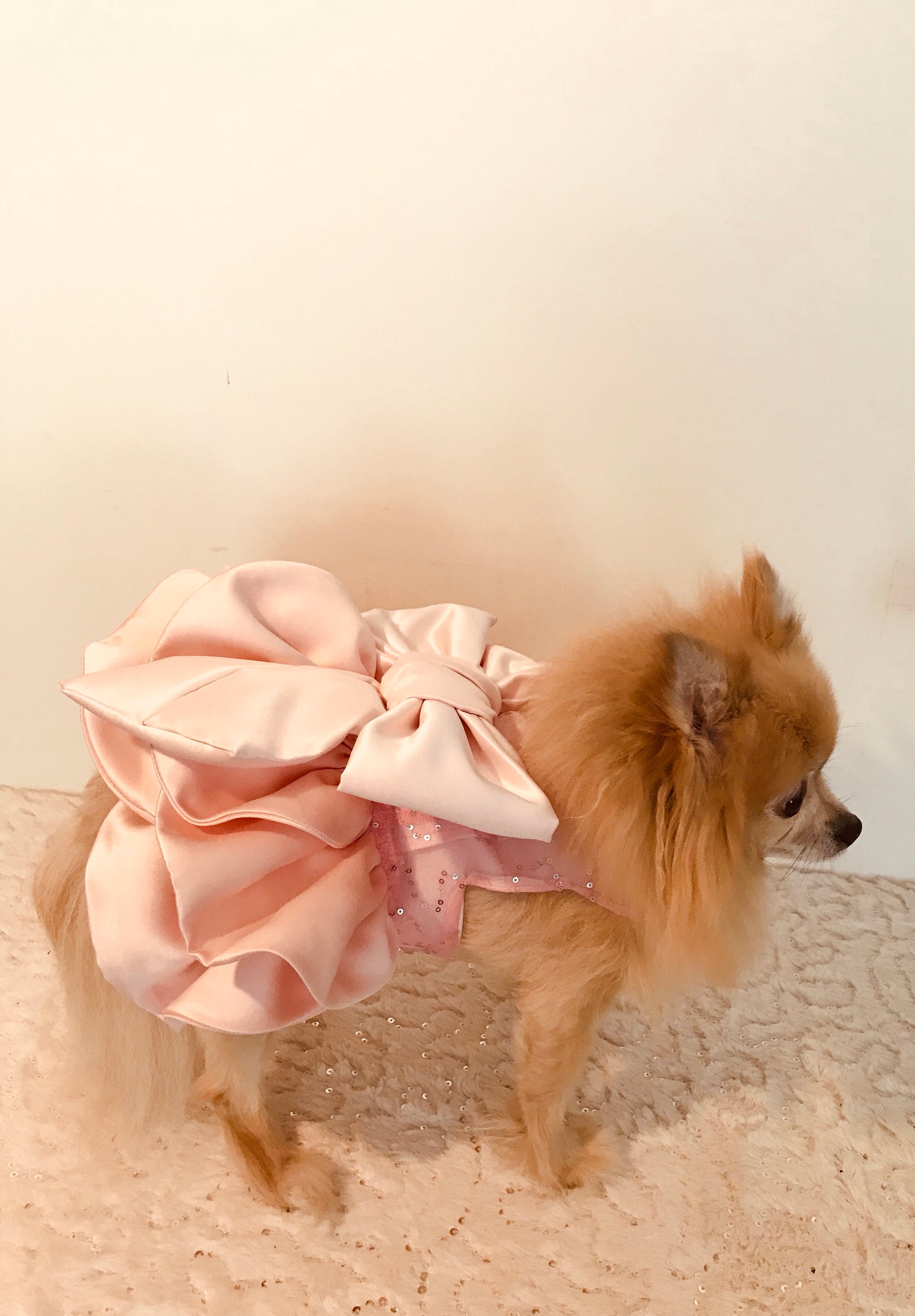 Canine Couture: The Most Luxurious Dresses Ever Made For Dogs – Marc Petite