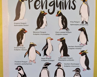 Penguins A5 sized print