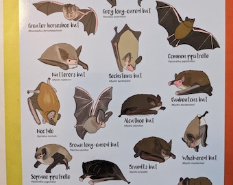 British Bats A5 sized print