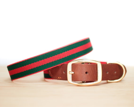 gucci dog collar red and green