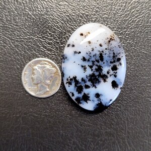 Wunderschöner Dendritenachat Cabochon