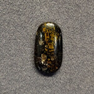 Fossil dinosaur gembone cabochon