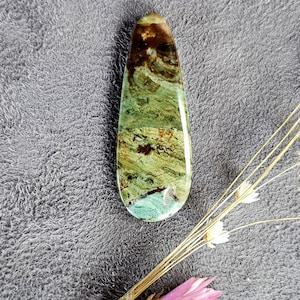 Rare Oregon Vistaite picture jasper cabochon