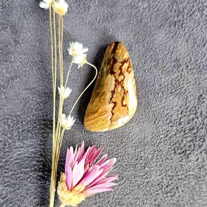 Rare Oregon Vistaite picture jasper cabochon