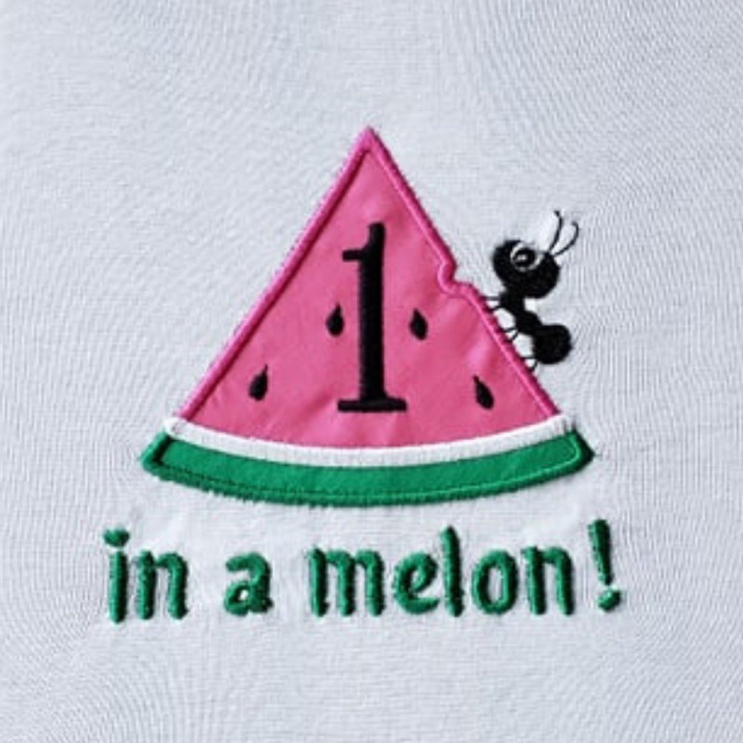 One in a Melon First Birthday Watermelon Applique Embroidery Design ...