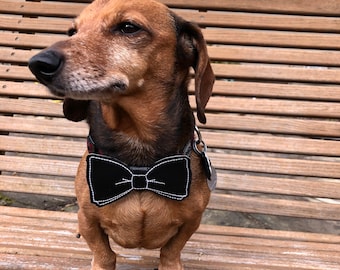 Sailor Bow Bow Tie The Way Snap-In Dog Bows\u00ae Bow Tie Hair Bow Only The Best For Your Best Friend Cat Bow Tie Therapy Dog Bow