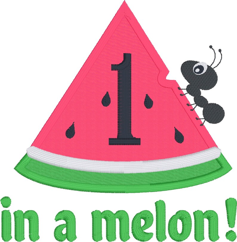 One in a Melon First Birthday Watermelon Applique Embroidery Design ...
