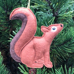 May include: A brown felt squirrel ornament with a dark brown tail, white eyes, and a stitched smile. The ornament is hanging from a green pine tree branch.