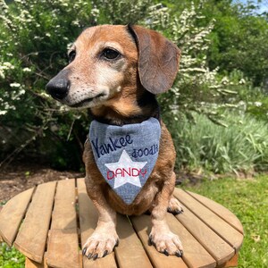 Puede incluir: Un dachshund marrón y blanco con un pañuelo azul con el texto "Yankee doodle Dandy" y una estrella blanca.