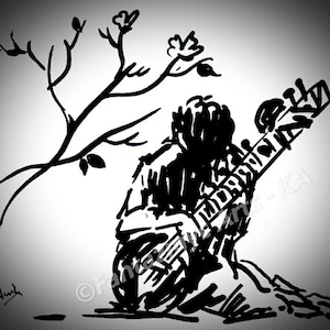 Der Sitarist