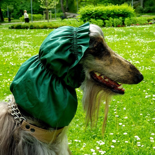 Afghan Hound Snood